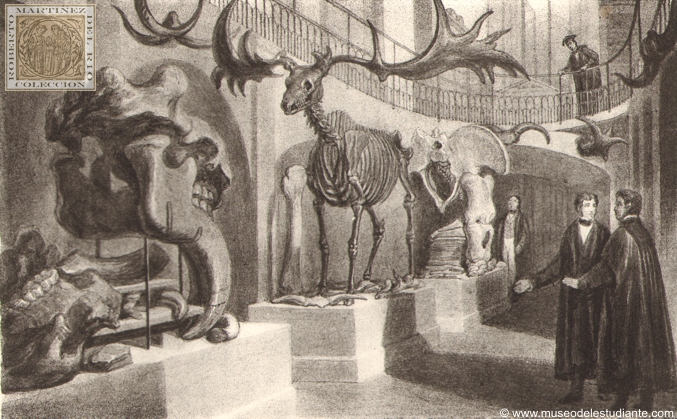 Museo de Geologa de Cambridge, 1842