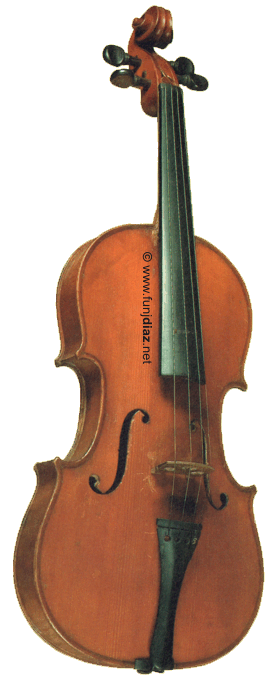 Violin